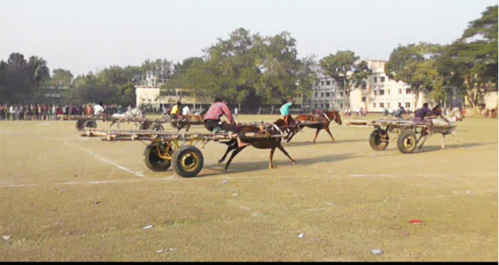 নড়াইলে সুলতান মেলার পঞ্চমদিনে ঘোড়ারগাড়ির দৌড় প্রতিযোগিতা