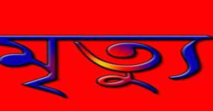 গাংনীতে আগুনে পুড়ে গৃহবধুর মৃত্যু