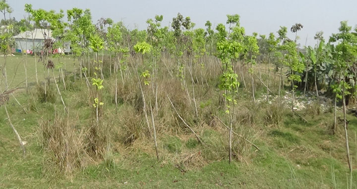 পদ্মা সেতু নির্মান প্রকল্প থেকে অবৈধভাবে প্রায় ৬৩ কোটি টাকা হাতিয়ে নিচ্ছে অসাধু চক্র