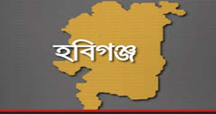 জাতীয় শিশু দিবসে হবিগঞ্জে বর্ণাঢ্য র‌্যালী ও শিশু সমাবেশ অনুষ্ঠিত