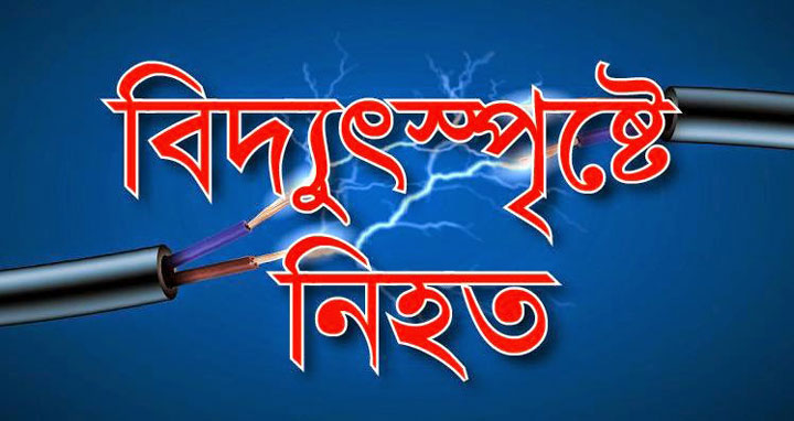 সাটুরিয়ায় বিদ্যুতের তারে জড়িয়ে এক শিশু নিহত