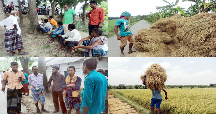 নড়াইলে জমির মালিকরাই ছুটছেন শ্রমিকের পেছনে