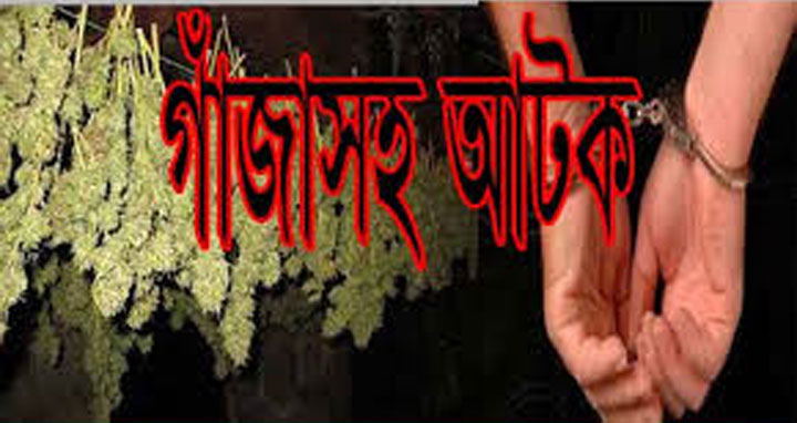 মানিকগঞ্জে ৬ কেজি গাঁজাসহ সিএনজি চালক আটক