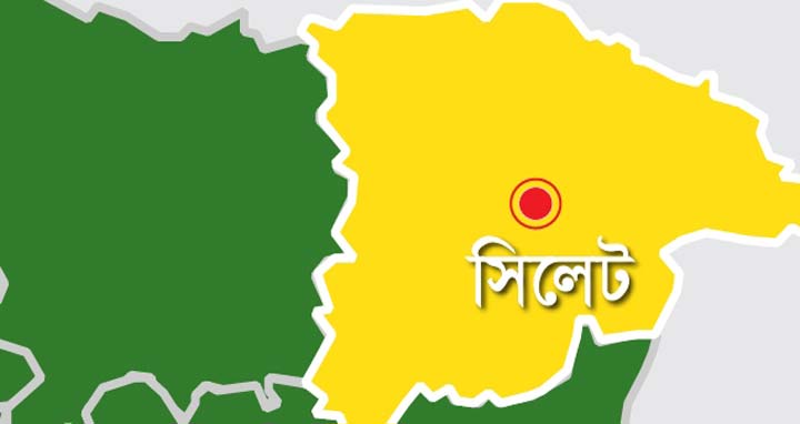 উপশহরে ভবন থেকে পড়ে কলেজ ছাত্রের মৃত্যু