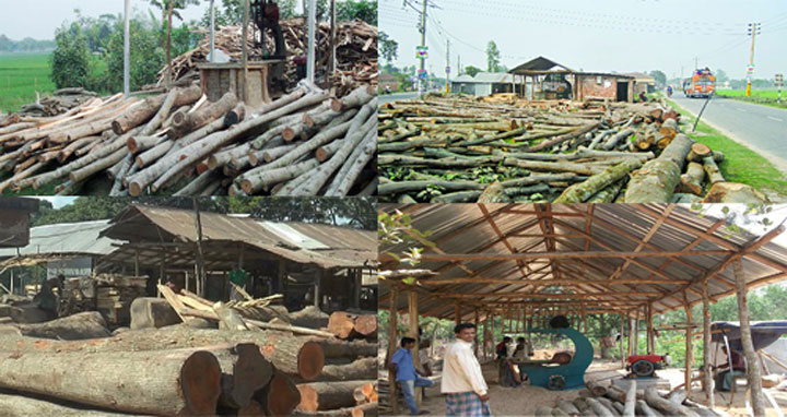 গোপালগঞ্জে লাইসেন্স ছাড়াই চলছে করাত কল ও কাঠ ব্যবসা