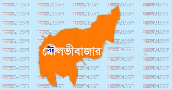 মৌলভীবাজারে আহত হাতি ‘রাজলক্ষ্মীকে’ বাঁচানো গেল না