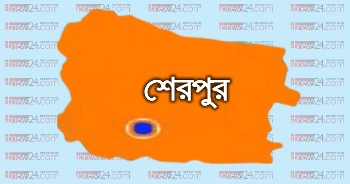 শেরপুরে হাতির আক্রমণে নিহত ১