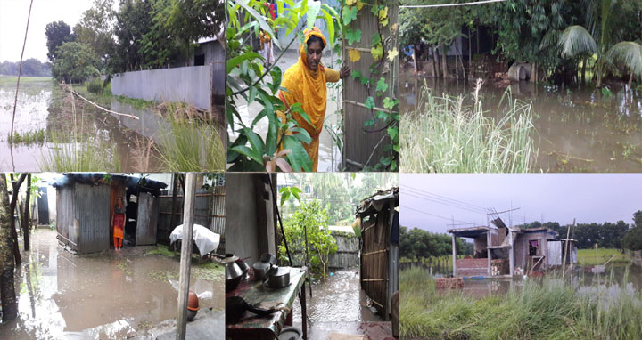 টানা বৃষ্টিতে রাজবাড়ী পৌরসভার কয়েকটি এলাকা প্লাবিত