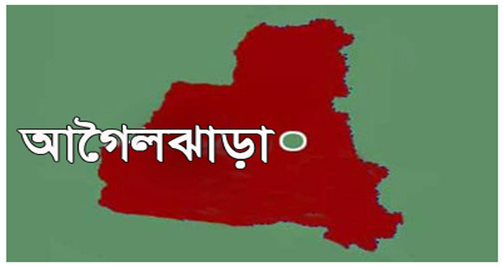 আগৈলঝাড়ায় গাঁজাসহ ব্যবসায়ী গ্রেফতার