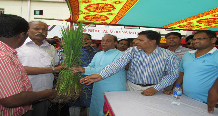 তারাগঞ্জে বন্যায় ক্ষতিগ্রস্তদের মাঝে বিএনপি’র চারা বিতরণ