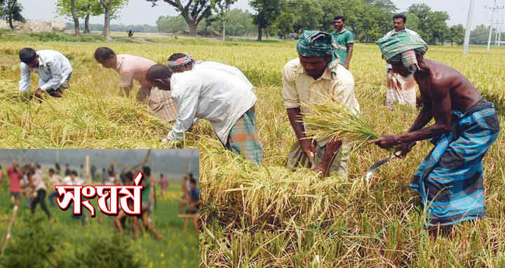 ঝালকাঠিতে ধান কাটা নিয়ে সংঘর্ষে আহত ১৫