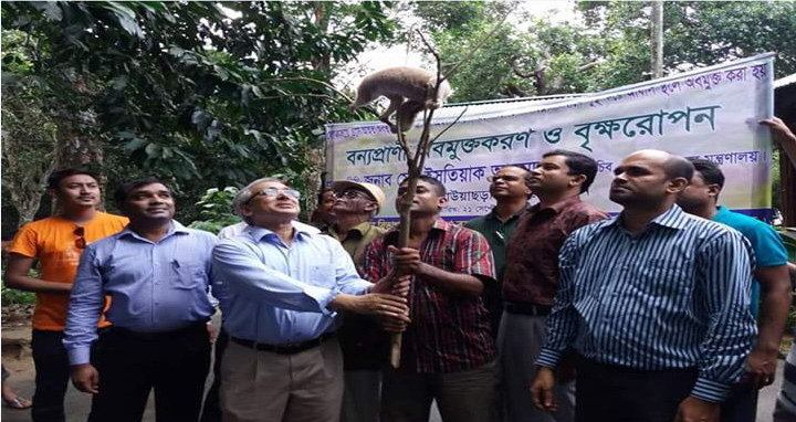 শ্রীমঙ্গলে বন সচিবের লাউয়াছড়া ও টিম্বার ট্রিটমেন্ট প্লান্ট পরিদর্শন