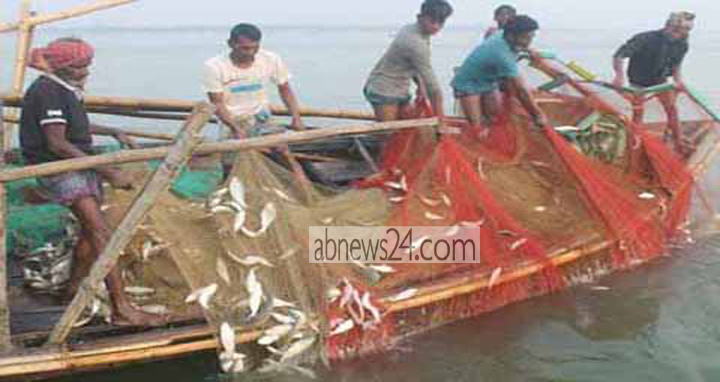 নভেম্বর থেকে জুন পর্যন্ত জাটকা ধরায় নিষেধাজ্ঞা