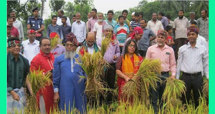 লক্ষ্মীপুরে বর্ণাঢ্য আয়োজনে নবান্ন উৎসব উদযাপন