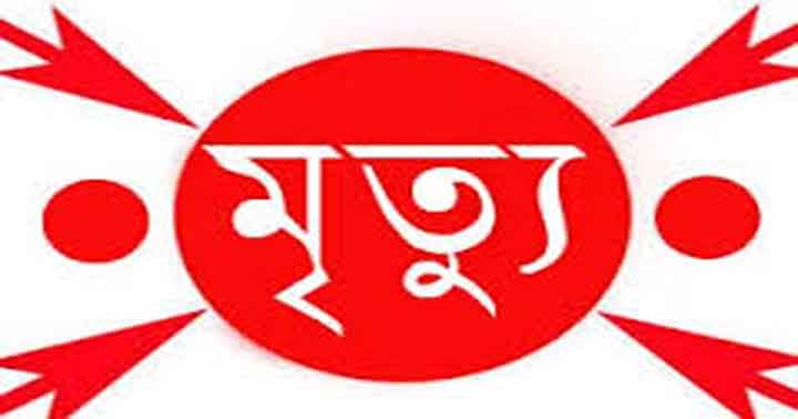 বোদায় গৃহবধূর রহস্যজনক মৃত্যু, আটক ১