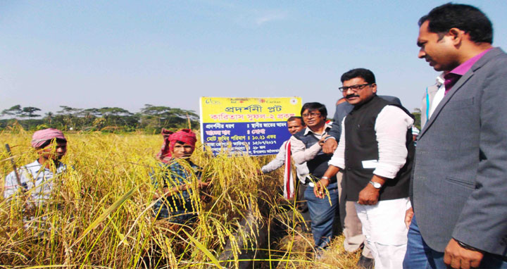 আগৈলঝাড়ায় আমন ধান কর্তন ও মাঠ দিবস উদযাপিত