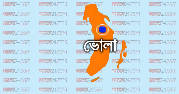 ভোলায় আওয়ামী লীগের গণতন্ত্র রক্ষা দিবস পালন