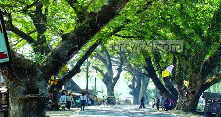 কাটা পড়ছে যশোর-বেনাপোল মহাসড়কের শতবর্ষী ২৩১২টি গাছ