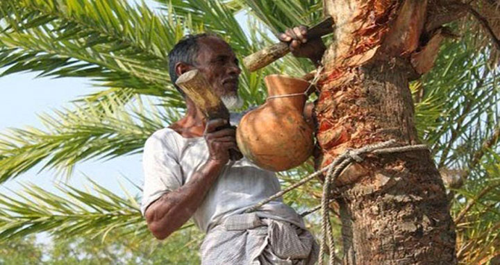 লক্ষ্মীপুর থেকে হারিয়ে যাচ্ছে রস ও গাছি