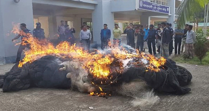 চকরিয়ায় ৪হাজার ৮’শ মিটার নিষিদ্ধ জাল জব্দ