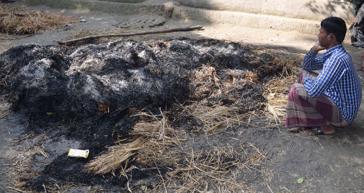 কাউখালীতে কৃষকের চার বিঘা জমির ধান পুড়িয়ে দিয়েছে দুর্বৃত্তরা