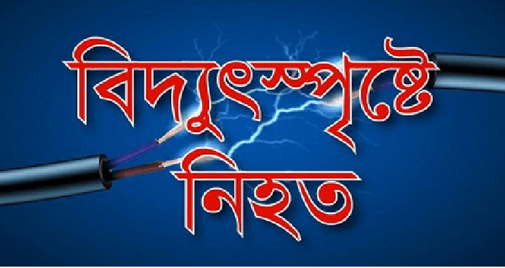 পাঁচবিবিতে বিদ্যুৎস্পৃষ্টে একজনের মৃত্যু