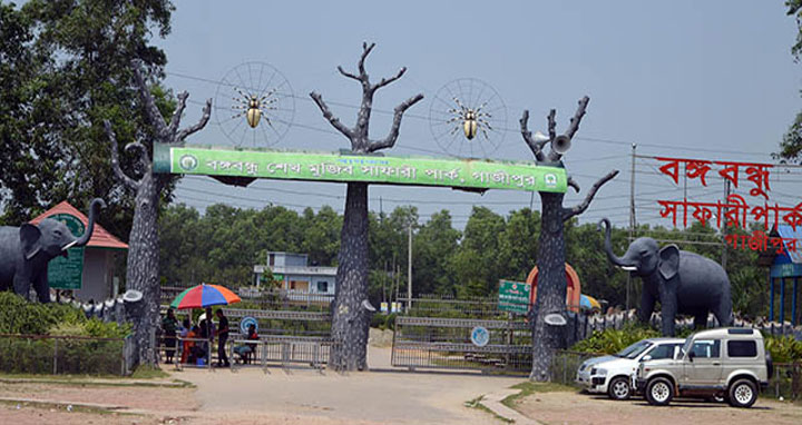 বঙ্গবন্ধু শেখ মুজিব সাফারি পার্কে জেব্রার সংসারে জন্ম নিলো নতুন সদস্য