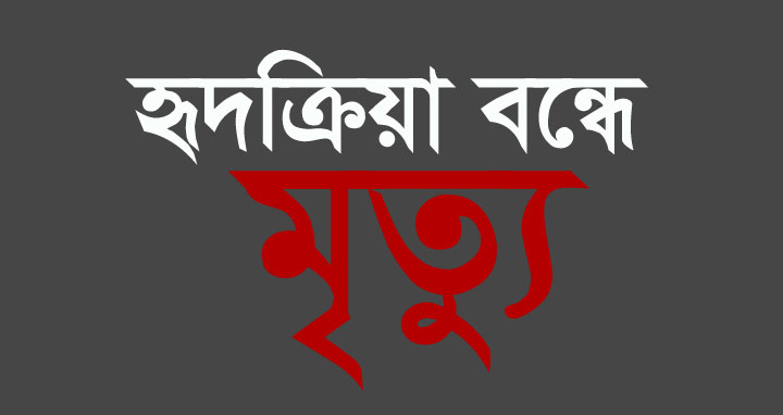 ঘাটাইলে শহীদ মিনারে ফুল দিতে এসে মারা গেলেন ইউপি মেম্বার