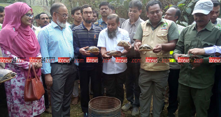 গাজীপুরের ভাওয়াল জাতীয় উদ্যানে ৩৫টি কচ্ছপ অবমুক্ত