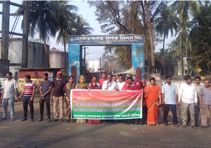 মোবারকগঞ্জ সুগারমিলের কর্মচারীদের বিক্ষোভ ও মানববন্ধন