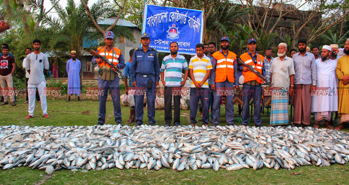 কোস্ট গার্ডের অভিযানে ৩৪৮০ কেজি জাটকা জব্দ