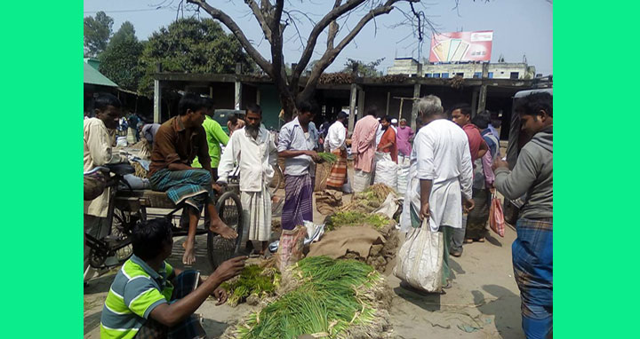 বোদায় বৃদ্ধি পাচ্ছে পিয়াজ চাষ