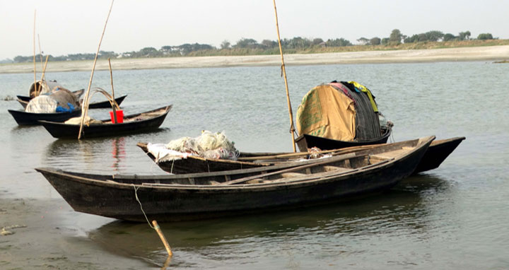 নিষেধাজ্ঞা অমান্য করে সদরপুরে জাটকা নিধন অব্যাহত