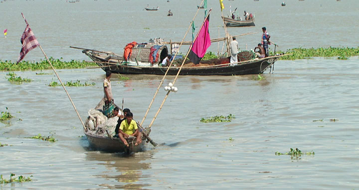 ভোলার মেঘনা-তেতুলিয়ায় অবাদে চলছে মৎস্য শিকার