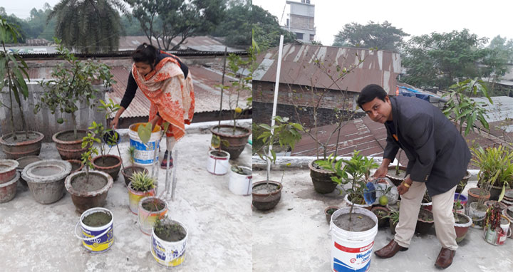 ধামইরহাটে বাড়ির ছাদের শখের বাগান