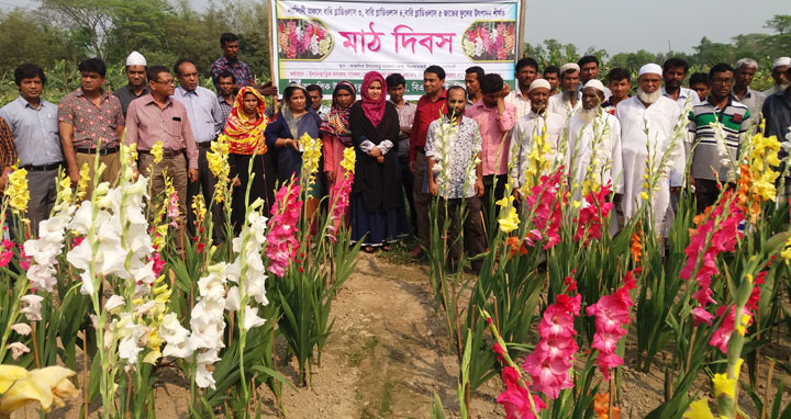 নরসিংদীর শিবপুরে গ্লাডিওলাস ফুলের মাঠ দিবস