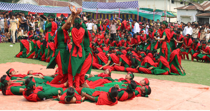 ফুলবাড়ীয়ায় স্বাধীনতা দিবস পালন