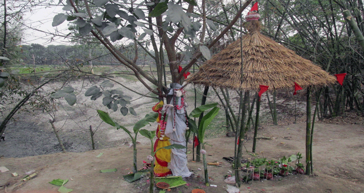 আনন্দ-উচ্ছাসে বট-পাকুড় গাছের বিয়ে!