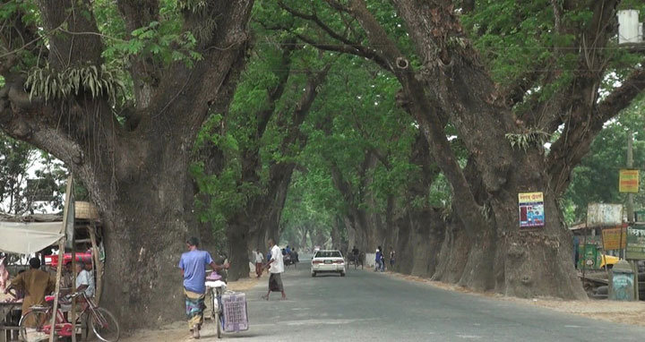 গাছ রেখে দুই লেন হচ্ছে যশোর-বেনাপোল মহাসড়ক