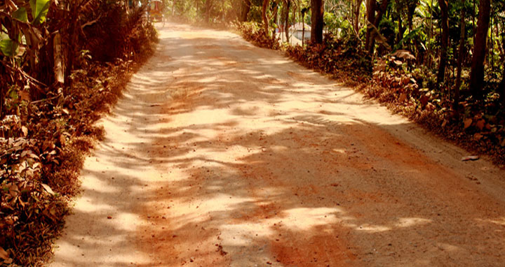 ঝোলকাঠি জেলার এলজিডিইডি সড়কগুলির বেহালদশা