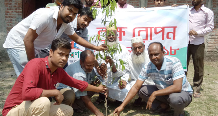 উলিপুরে ফলজ বৃক্ষ রোপন