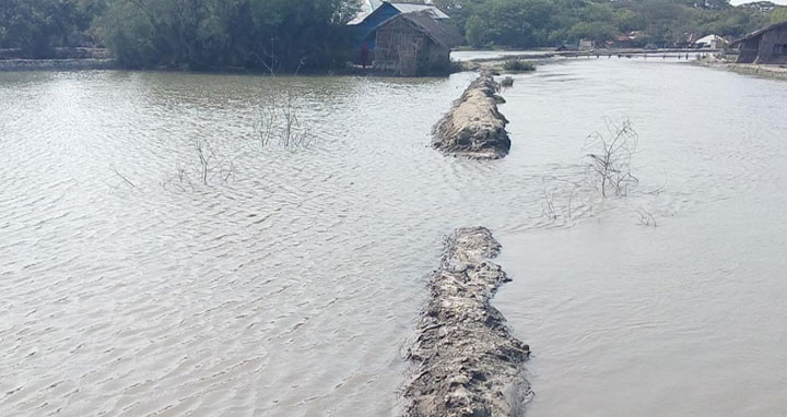 মোকামখালীতে বাঁধ ভেঙে এলাকা প্লাবিত