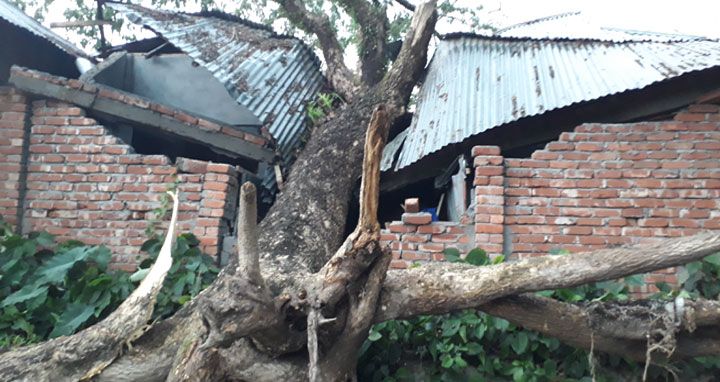 গফরগাঁওয়ে কালবৈশাখ ঝড়ে ব্যাপক ক্ষতি