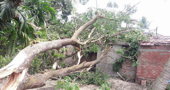 দেবহাটায় কাল বৈশাখীর তান্ডবে ঘরবাড়ি ও ফসলের ব্যাপক ক্ষয়ক্ষতি