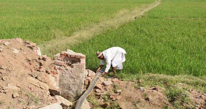 গুজরাটে হাজার হাজার কৃষক কেন স্বেচ্ছামৃত্যু চান?