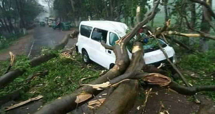 রাউজানে এ্যাম্বুলেন্সের উপর গাছ পড়ে আহত ২