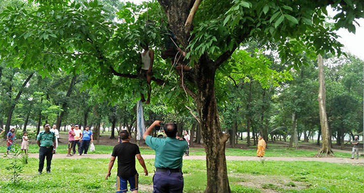 সোহরাওয়ার্দী উদ্যান থেকে যুবকের ঝুলন্ত লাশ উদ্ধার